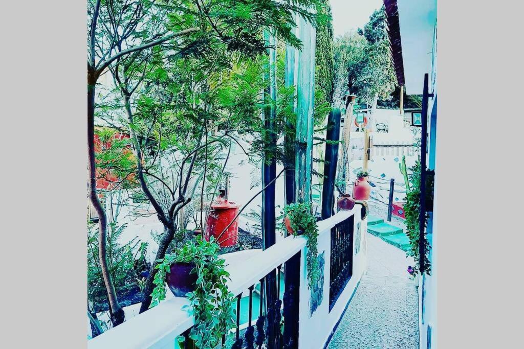 Gran Canaria La Finca De Carmelita Y Bartolito ラスパルマス・デ・グランカナリア エクステリア 写真